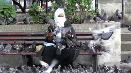 Woman ambushed by pigeons as she feeds them bread at London's Marble Arch