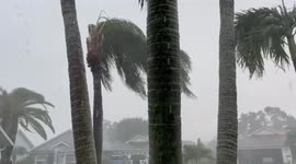 Tropical Depression Fred slams Florida with heavy rain