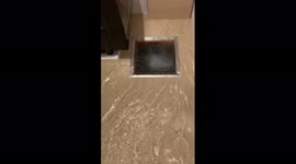 Floods pour through home in Kurume city as Japan is hit with heavy rain