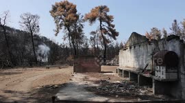 Terrible aftermath of wildfires on Evia Island in Greece