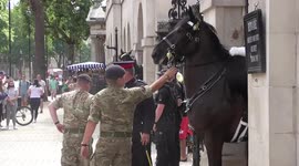 HORSE GUARD SPOOKED BY PROTESTRS TAKEN BACK TO STABLES ARMY OFFICERS CALMED THE HORSE DOWN