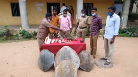 Authorities in southern India seize haul of jewellery and decorations made from wild animals
