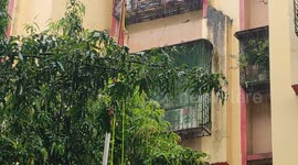 Despite heavy rainfall in Mumbai, Indians are celebrating the 75th Independence Day