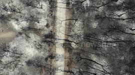 Drone shows the terrible aftermath of wildfires on Evia Island in Greece