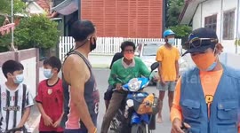 Python rescued after getting stuck on electricity cables in Thailand