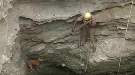 Stray dog rescued after falling into 60-feet-deep well in southern India