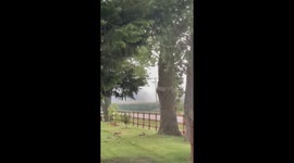 'Sycamore, IL: Destructive Tornado Tears Through a Farm '