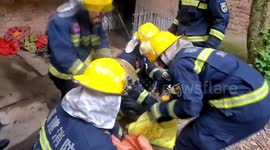 Chinese firefighters capture python that ate over a dozen of villager's chickens