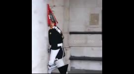 Household Cavalry Soldier outwits annoying cameraman by marching up and down and refusing to stand still at Horseguards Parade, London