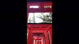 Popular Tourist Attration: Kyoto's Fushimi Inari Shrine Never Ending Torii Gates