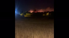 France: Wildfire Breaks Out Near Gonfaron, Provence-Alpes-Côte D’Azur 2