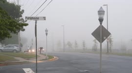 The Great Frederick Fog - August 17, 2021