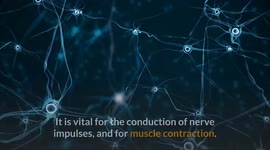 Foods Low In Potassium For Kidney Patients :- Low Potassium Foods