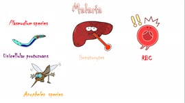 Malaria - Causes, Pathogenesis, Signs and Symptoms, Diagnosis, Treatment and Prevention.