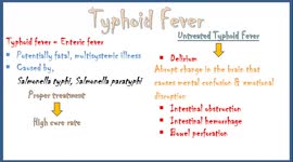 Typhoid Fever - Causes, Pathogenesis, Signs and Symptoms, Diagnosis, Treatment and Prevention