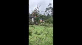 Tropical Depression Fred leaves trees in wake in Georgia