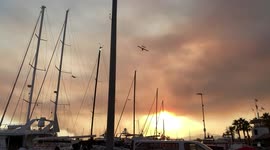 Firefighting planes battle devastating blaze near French resort of Saint-Tropez