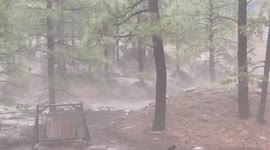 Severe storms cause Arizona to flood