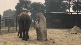 India's first elephant rescue centre , mathura farah ,