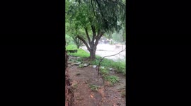US: Heavy Flooding Hits Flagstaff, Arizona 4