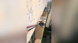 Chinese residents rescue cat trapped on air conditioner outside 33rd floor of building