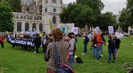 Stop the war coalition protesters gather outside parliament