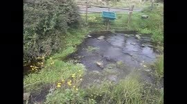 this river flows nicely now but last year in that great spring it went dry and  why have to draw water to freddie