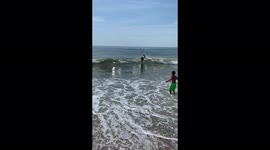 'Big Wave TAKES OUT Kid Surfer in Assateague Island, VA'