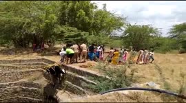 Firefighters haul cow out of 40-feet-deep well in southern India