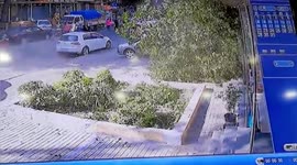 Woman sent to hospital after falling tree strikes pedestrians in northern China