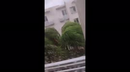 Mexico: Hurricane Grace’s Strong Wind, Rain Pummel Yucatan Peninsula 3