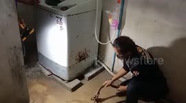 Snake caught eating toad under family’s washing machine in Thailand