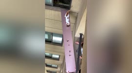 Neighbours rescue kitten trapped on ninth-floor balcony in eastern China