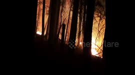 Harrowing cabin owner deals with rapidly spreading wildfire in California