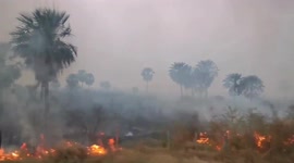 Worldwide wildfires continue, this time in Paraguay