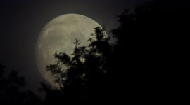 Waxing gibbous moon rises in Minster on Sea, Kent ahead of weekend's Sturgeon full blue moon