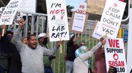 Anti-Vaccine protesters harass doctor during anti-vaccine protest