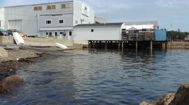 Hauling Out Boats in Anticipation of Hurricane Henri in Marblehead, Massachusetts