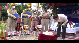 Retiring sniffer dogs given farewell ceremony in southern India