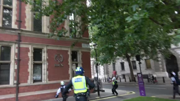 Riot police chase down protester at anti-vaccine protest in London