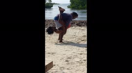 Acting gorilla circus