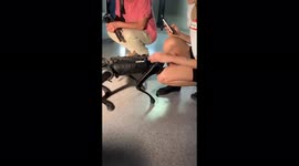 Girl pets the robot dog in Moscow, Russia