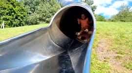 Slow motion of happy little girl on slide