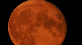 Rare Sturgeon Blue Moon comes up orange