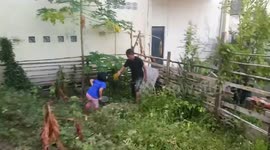 A Little Girl Screaming When Securing Black Snake from A Well with Her Uncle
