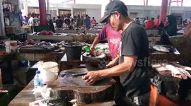 Fish Cutter Cuts Tuna Fish into A Small Pieces