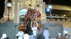 Tallest tusker takes part in Kandy Esala Perahera in Sri Lanka
