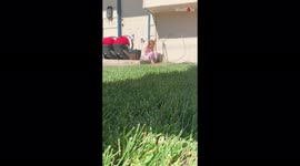 'Grandma's Adorable Reaction to Seeing Grandkids Outside her House 
'