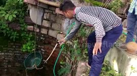 Deadly snake is rescued from well in central India by brave officials