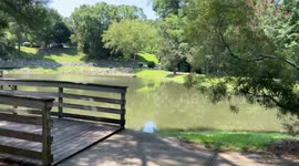The pond in one of the communities in wake forest has is fully equipped for fishing